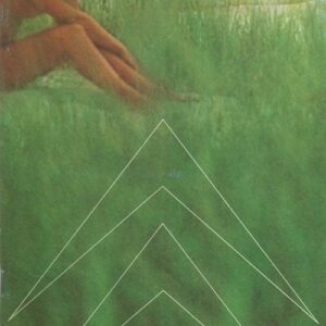 Le double chevron N°9