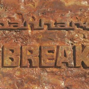 Panhard break