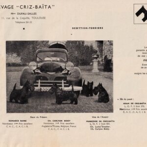 Elevage Criz Saita