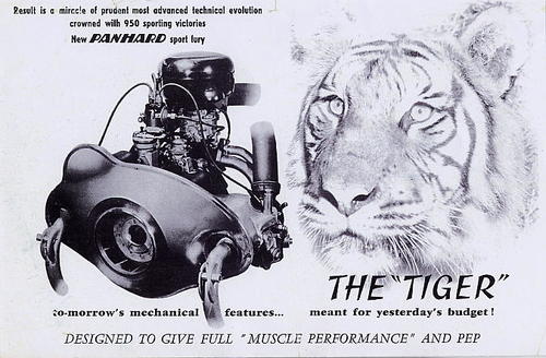 The Tiger